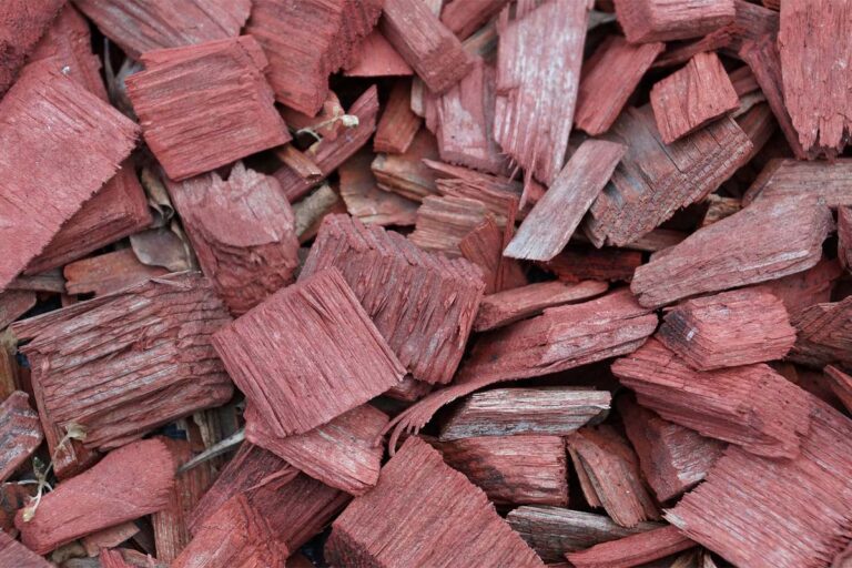 Wood Chips – aromatisches i-Tüpfelchen auf Fisch, Fleisch und Gemüse