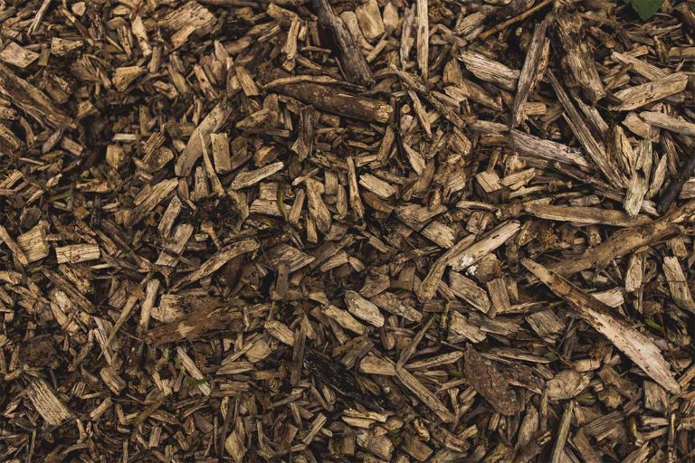 Wood Chips für den Gasgrill – selbermachen oder kaufen