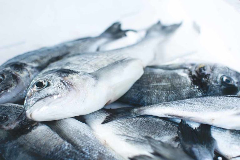 Fisch: Gesund durch Omega-3-Fettsäuren