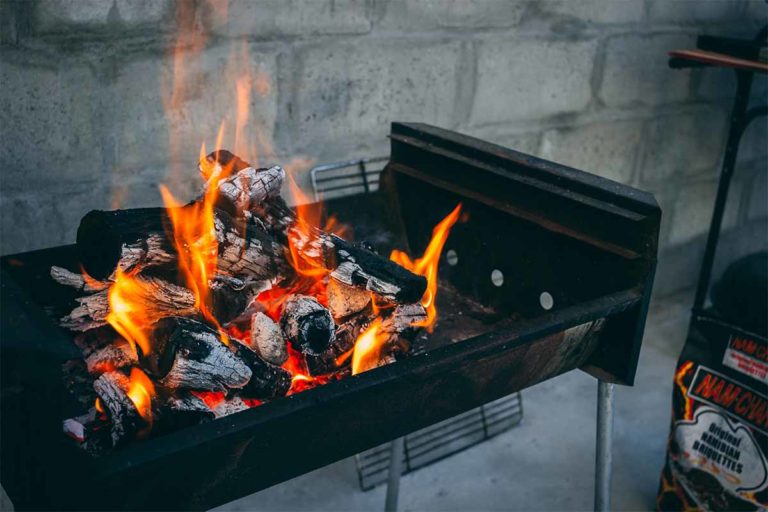 Salmonellengefahr – Hygiene beim Grillen