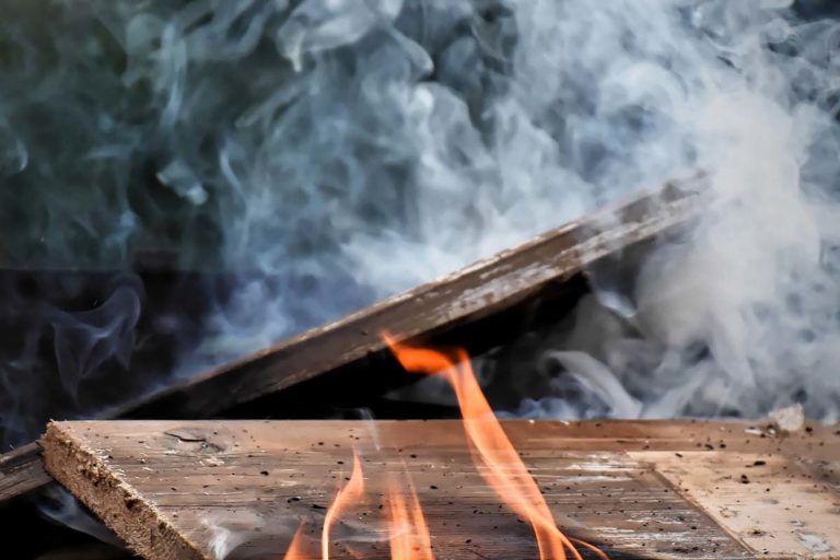 Gesundes Grillen: Tipps für leckeres und leichtes Genießen