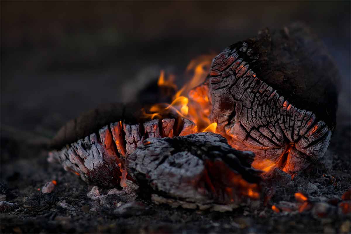 Grillwissen: Wie entsteht Holzkohle