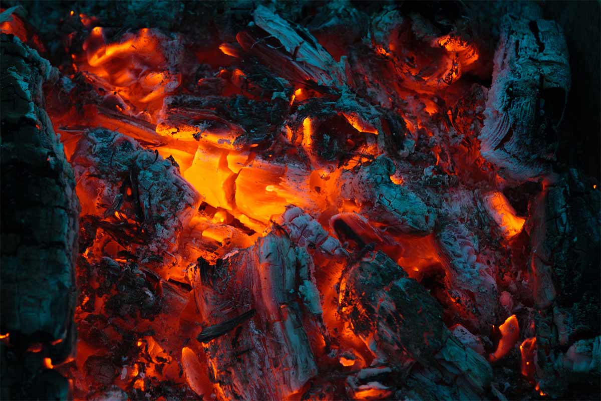 Holzkohle: Mehr Umweltbewusstsein beim Grillen