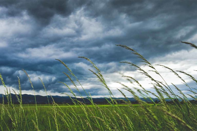 Sicherheit: Grillen bei Wind und Wetter!