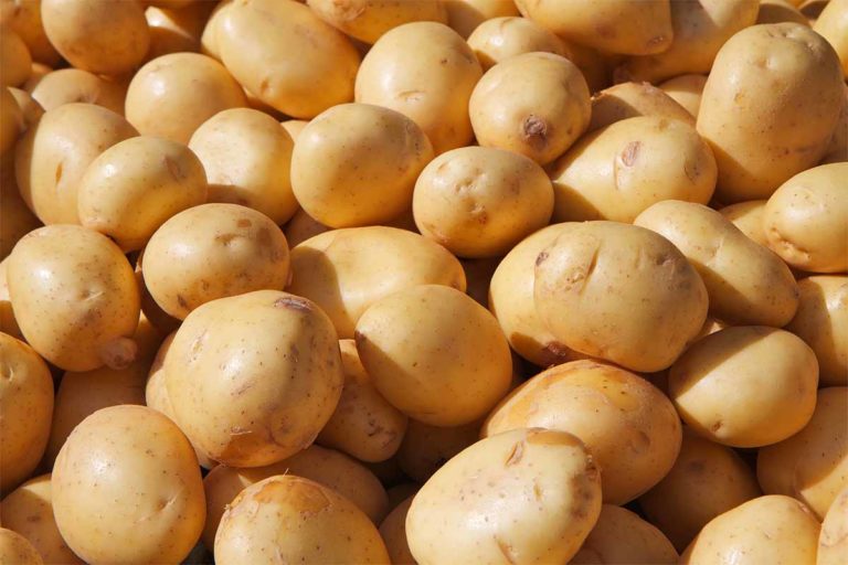 Kartoffeln: Des Deutschen liebste Beilage