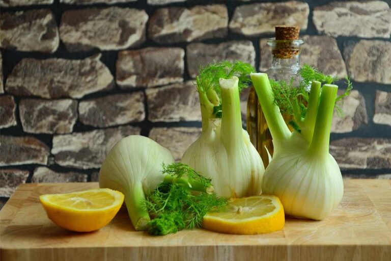 Fenchel – unterschätztes Gemüse aus dem Garten