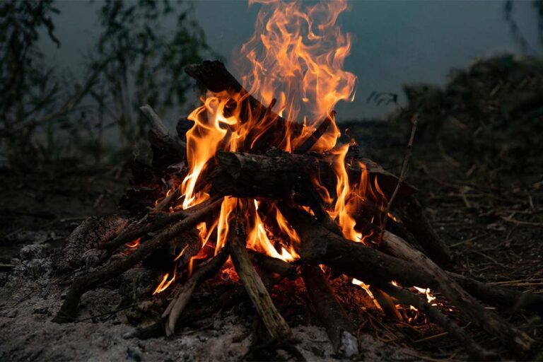 BBQ: Neuer Trend in Deutschland