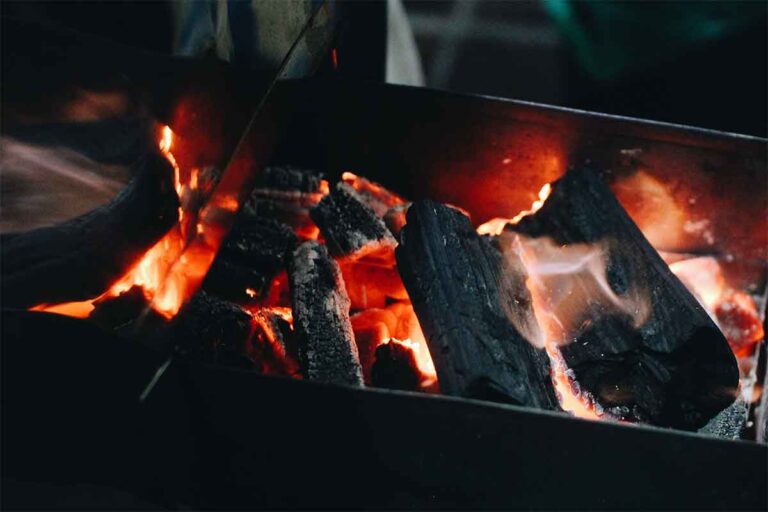 Insekten vom Grill: Die Angst vor dem Unbekannten