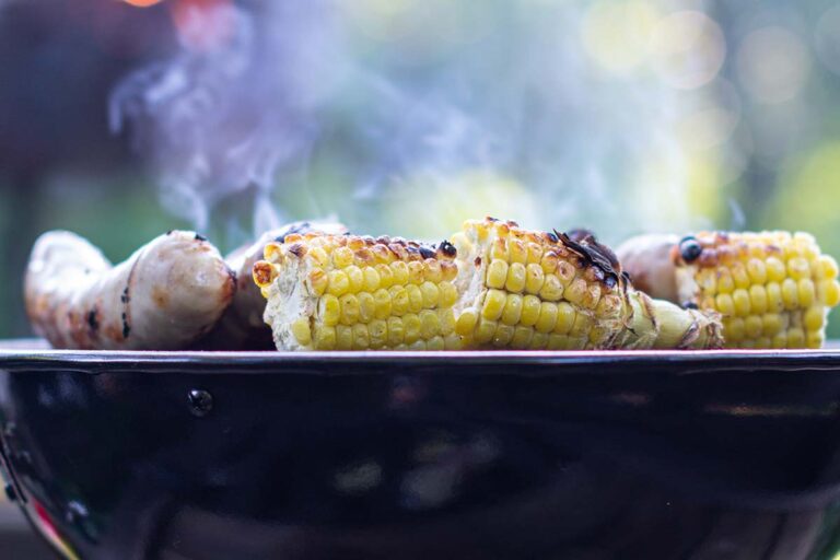 Gasgrill: Tipps zum Grillen im Winter