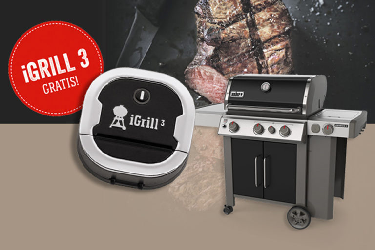 JETZT WEBER GENESIS II KAUFEN & SANTOS GRILLKURS SICHERN!