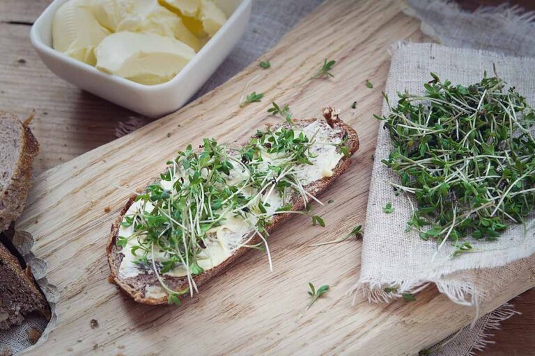 Chuck Burger mit Meerrettich-Senf und Rucola