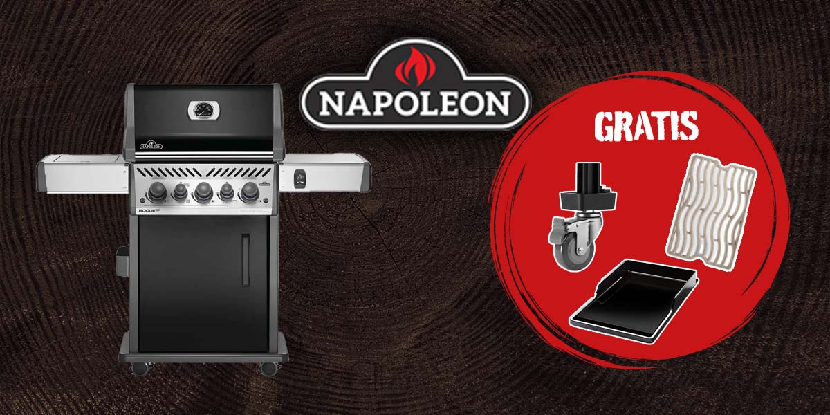 Napoleon SANTOS Nord Grill Angebot