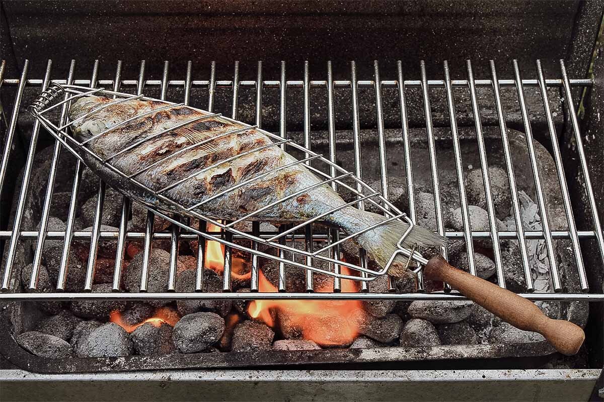 Dorade grillen