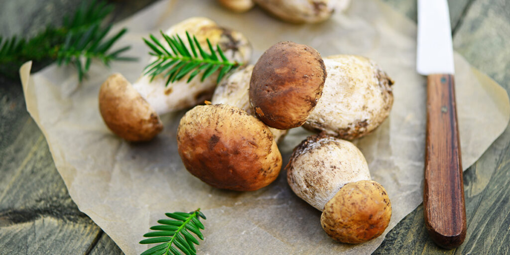 Pilzgulasch mit Semmelknödeln aus dem Dutch Oven