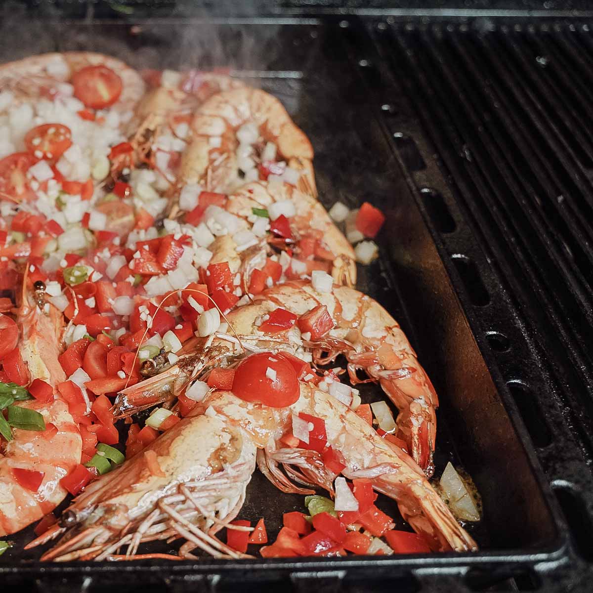 SANTOS Plancha | Einsatzpfanne Gusseisen für Broil King Crown