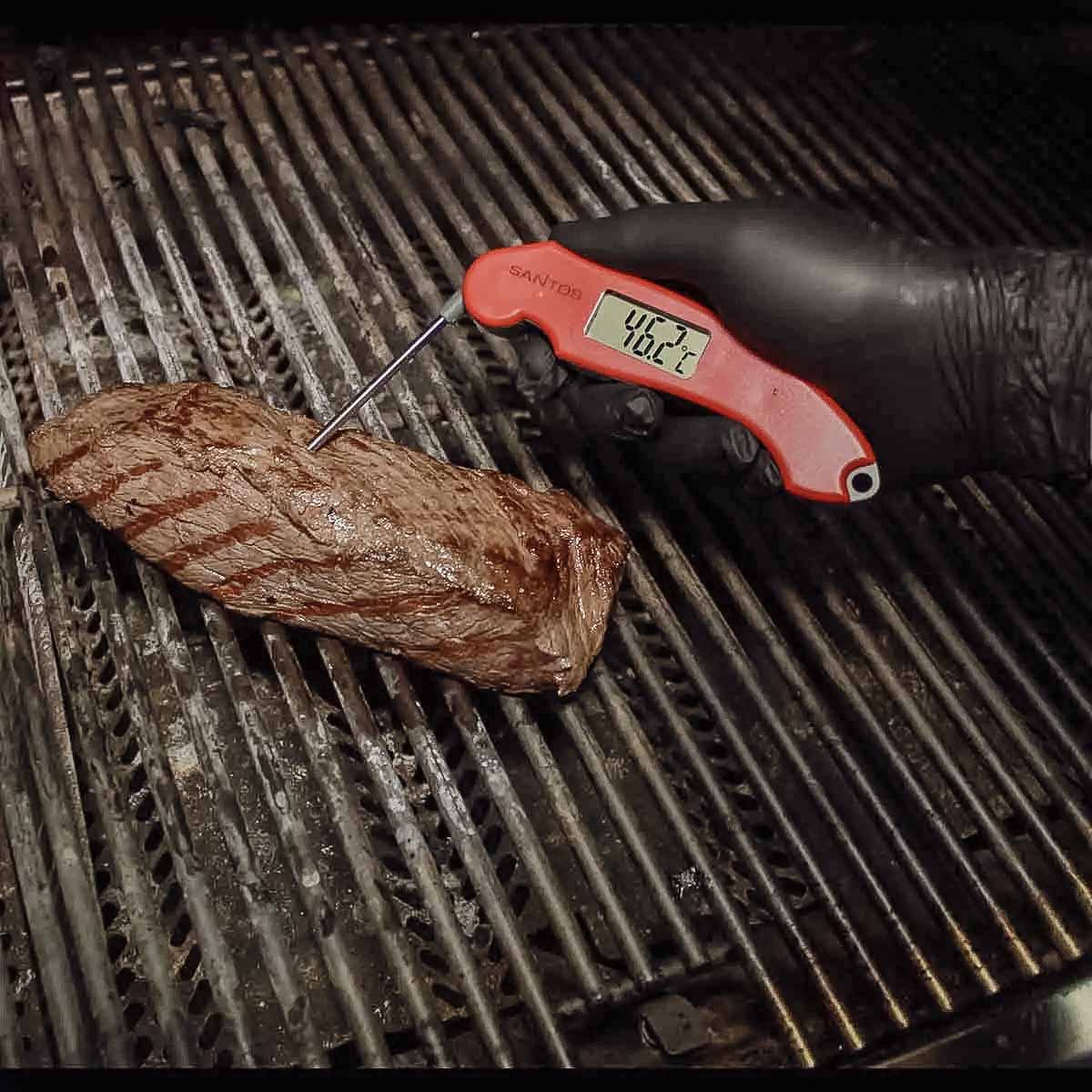 SANTOS klappbares BBQ Thermometer - Digital-Grillthermometer