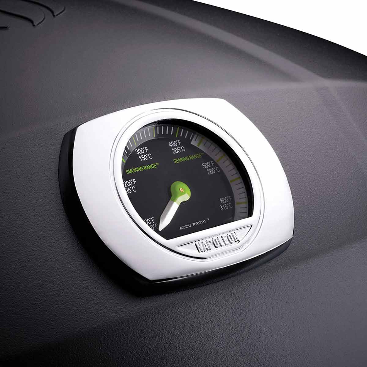 Napoleon TravelQ Elektrogrill | klappbarer Wagen