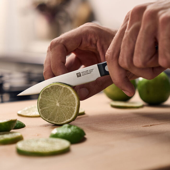 ZWILLING GOURMET Spick- & Garniermesser mit 100 mm Klinge
