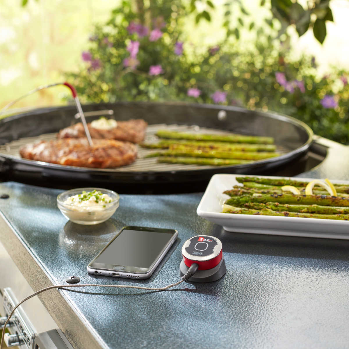 Weber iGrill mini LED Display Weber iGrill mini LED Display