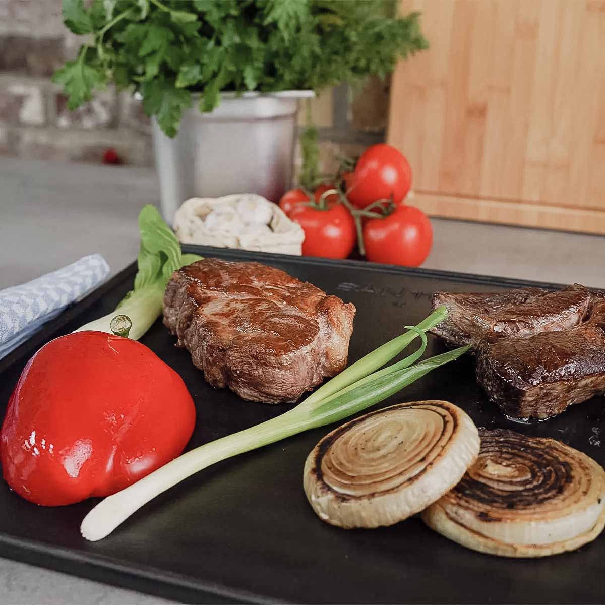 SANTOS Wende-Grillplatte Gusseisen für Broil King Baron / Crown / Triton 3 / Triton 4 | 43,3 x 32 cm