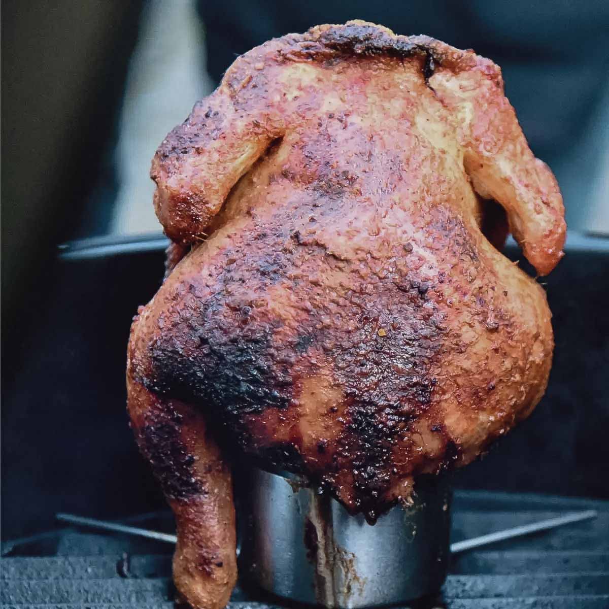 Santos Edelstahl Geflügelhalter Santos Edelstahl Geflügelhalter