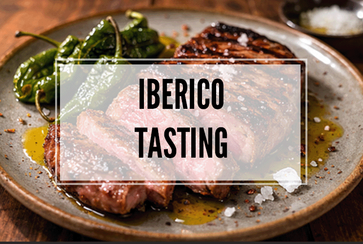 Iberico Tasting Nord