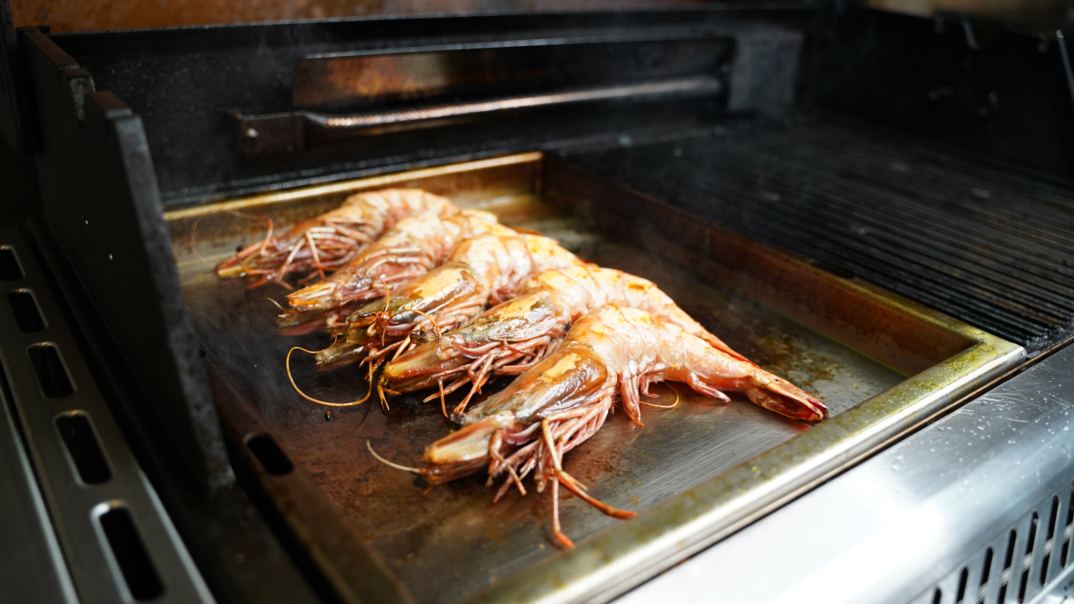 SANTOS Plancha | Einsatzpfanne für Weber Genesis ll 