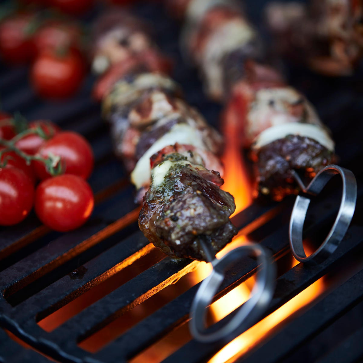 SANTOS 6-teiliges Schaschlik-Set mit Gestell, Edelstahl Kebab mit einem SANTOS Schaschlikspieß