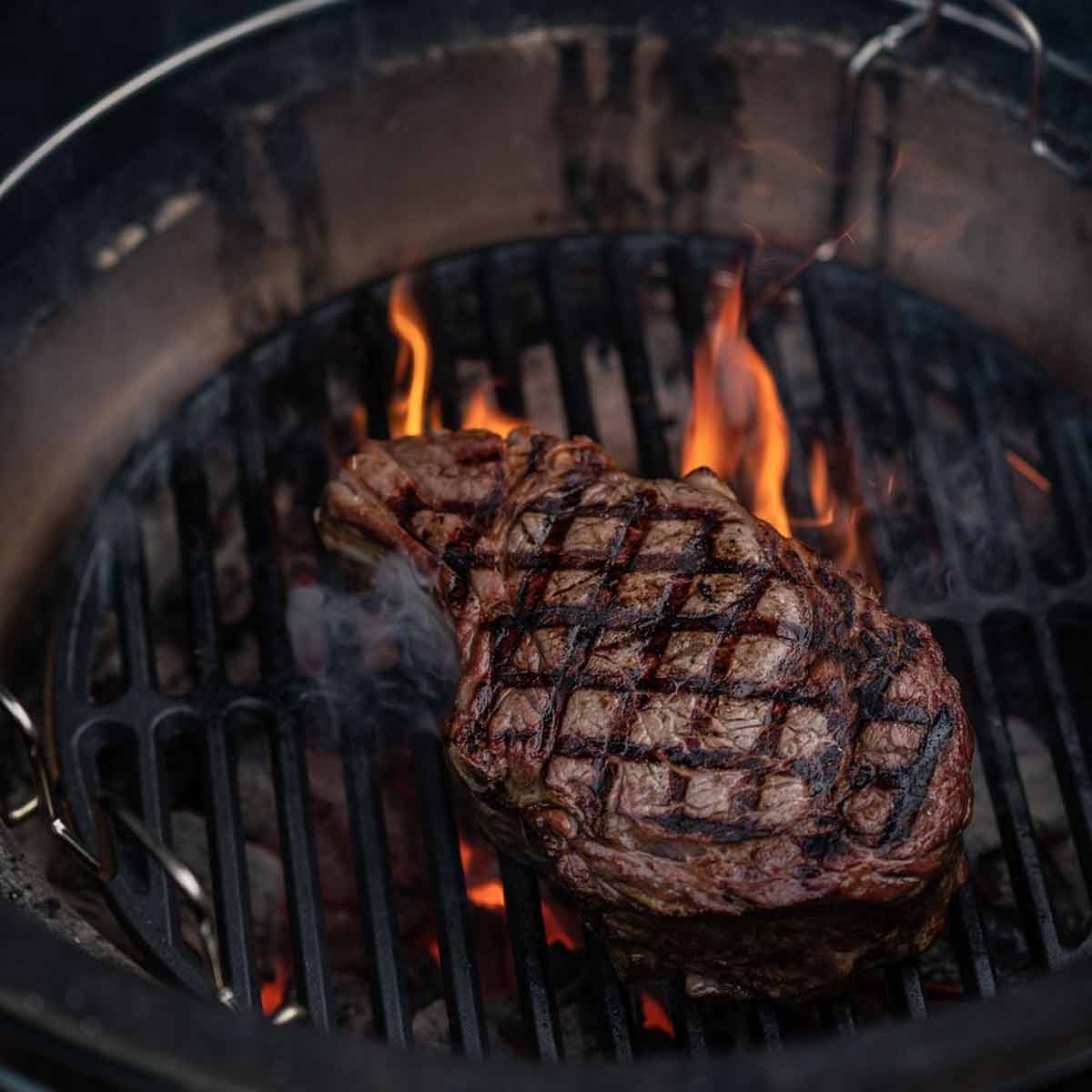 Big Green Egg 2-teilige Rosterhöhung