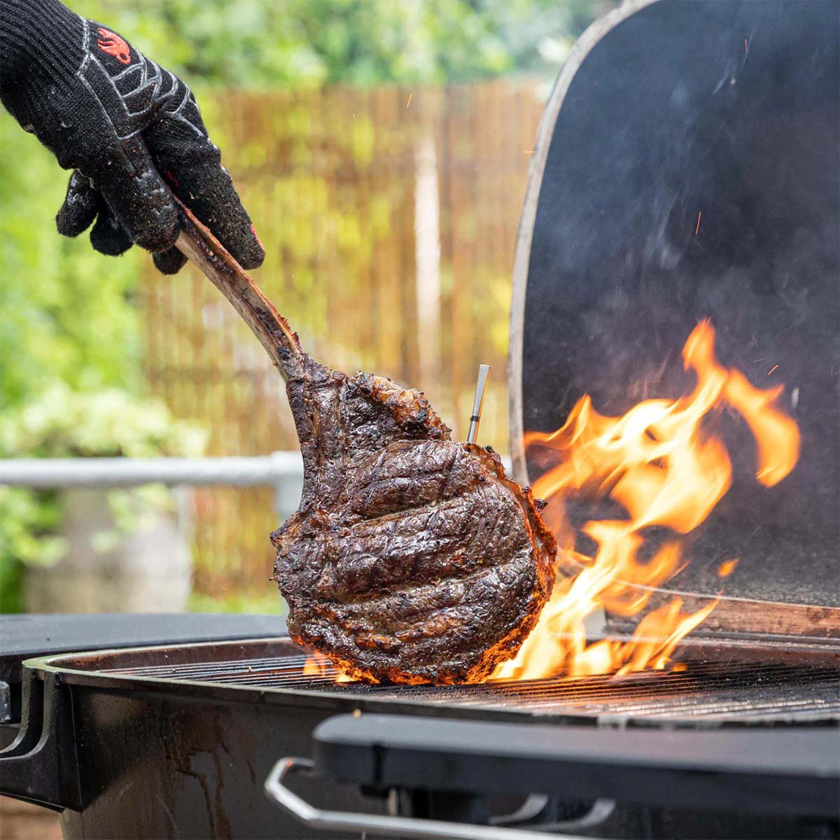 Meater 2 Plus Thermometer inkl. Ladestation Meater 2 Plus Thermometer inkl. Ladestation Steak vom Grill