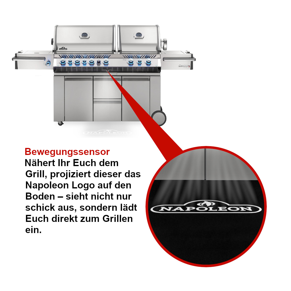 Napoleon PAKPRO825RSBIPSS-3 inkl. Drehspie§