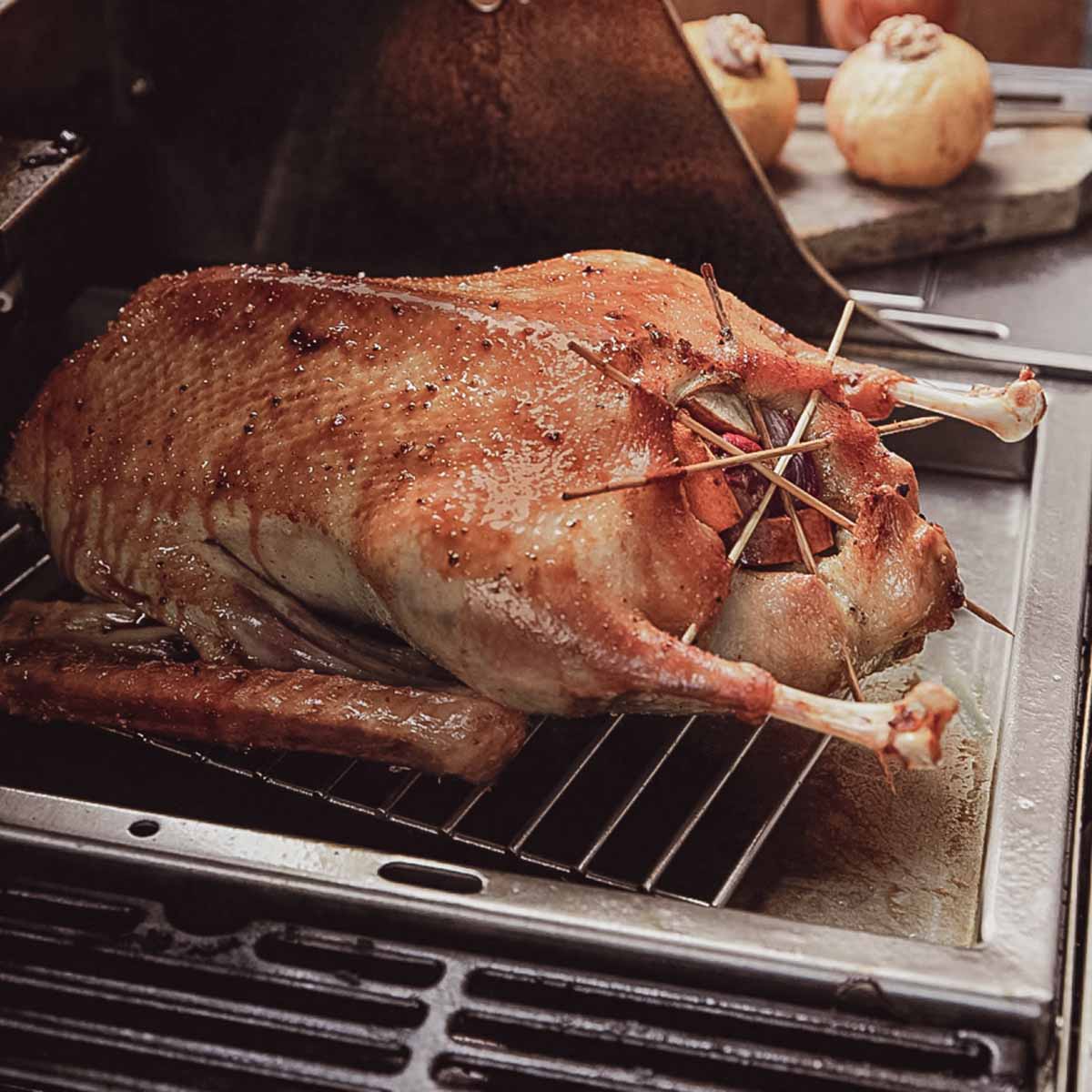 SANTOS Plancha | Einsatzpfanne für Weber Genesis ll 