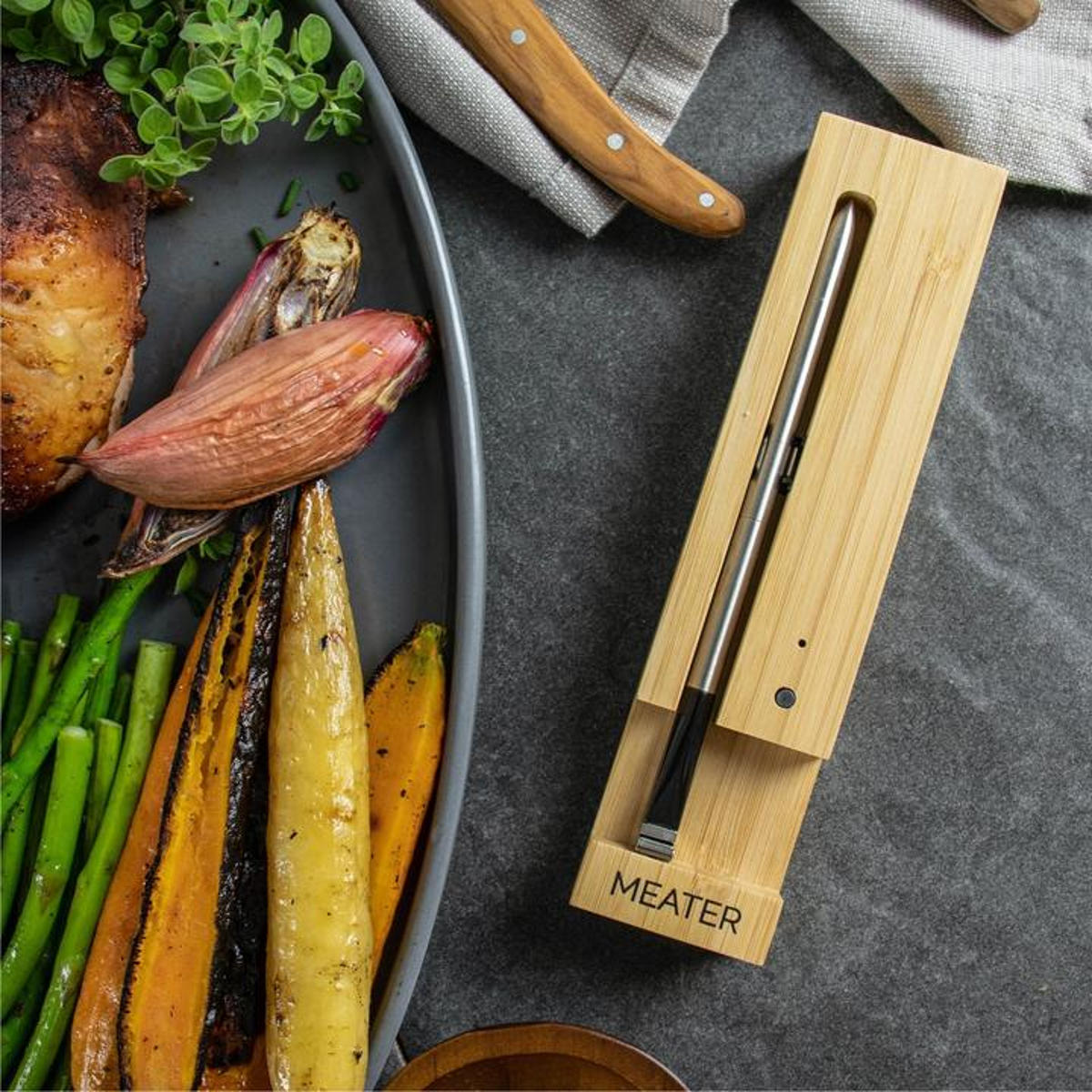 Meater Thermometer Meater Thermometer