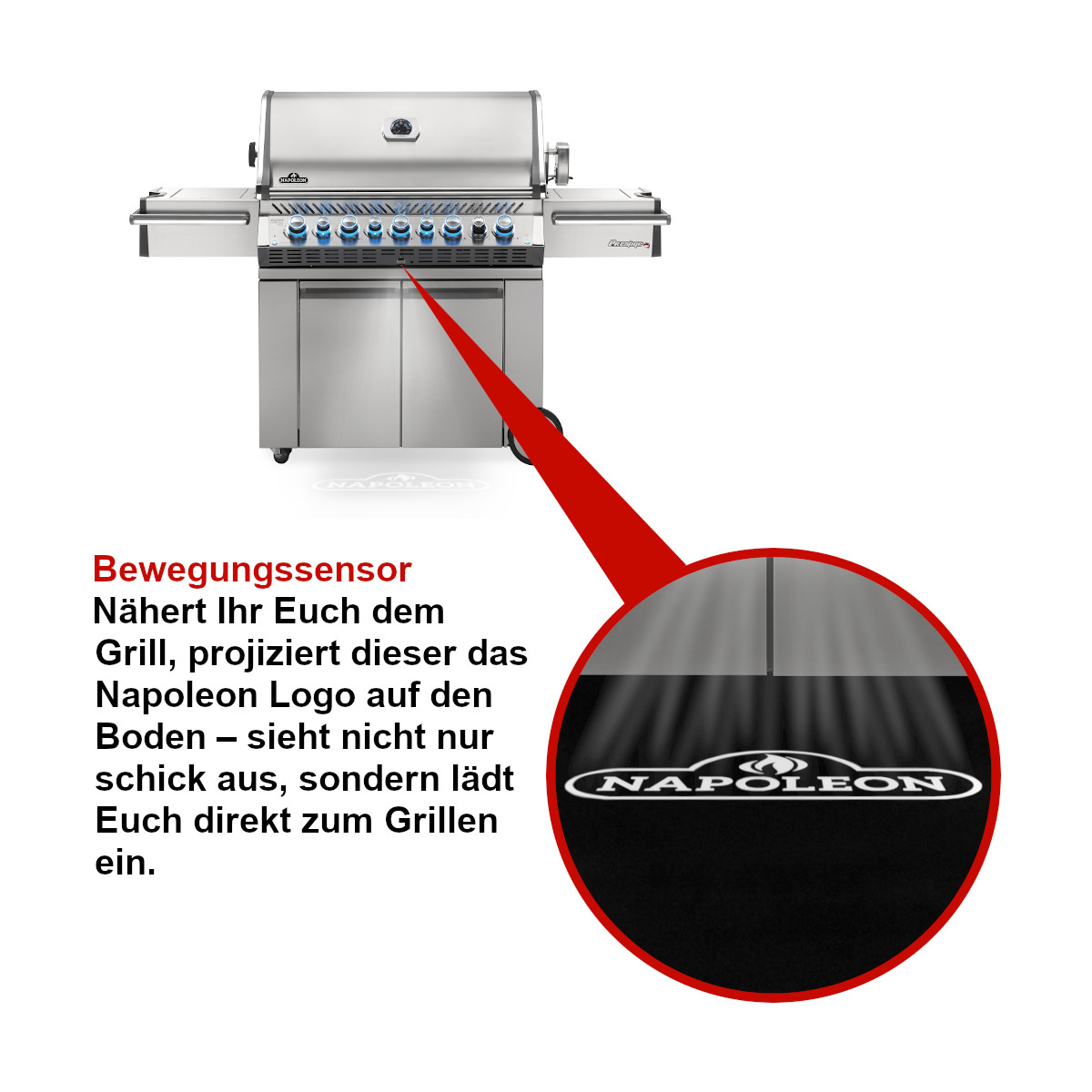 Napoleon PAKPRO665RSIBPSS-3 inkl. Drehspie§ Napoleon PAKPRO665RSIBPSS-3 inkl. Drehspie§