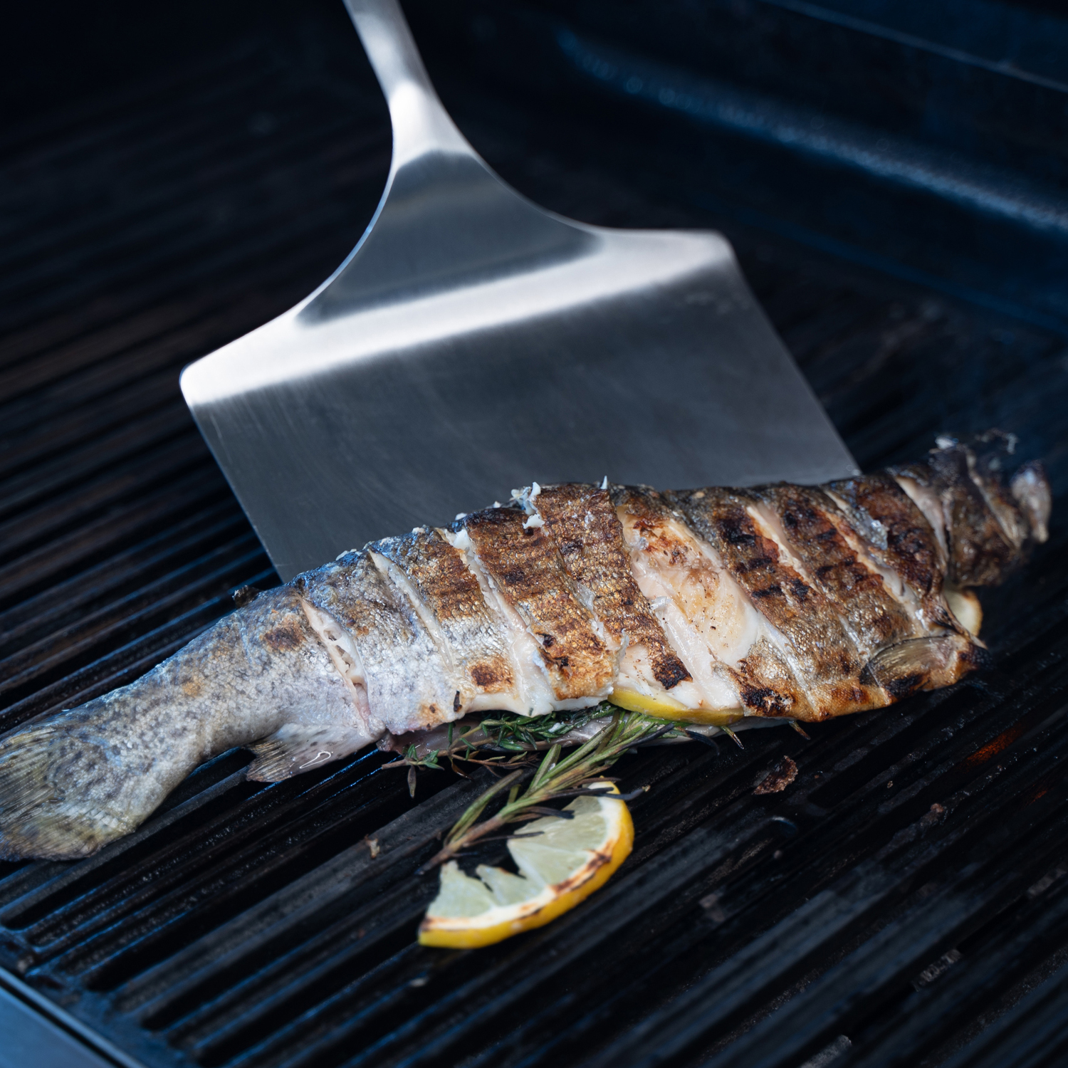 SANTOS Fischwender SANTOS Fischwender