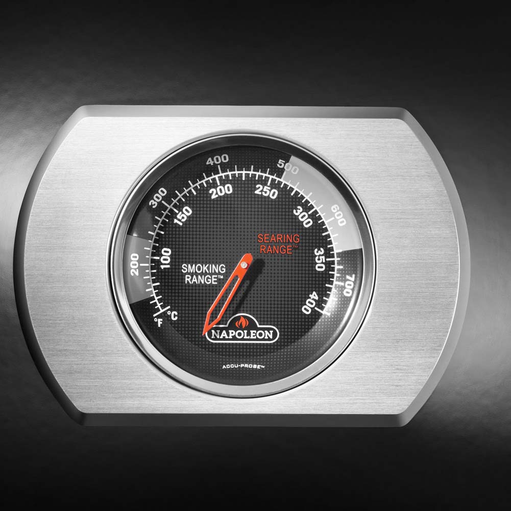 Napoleon Rogue PRO-S 525 mit Gußrosten | Schwarz