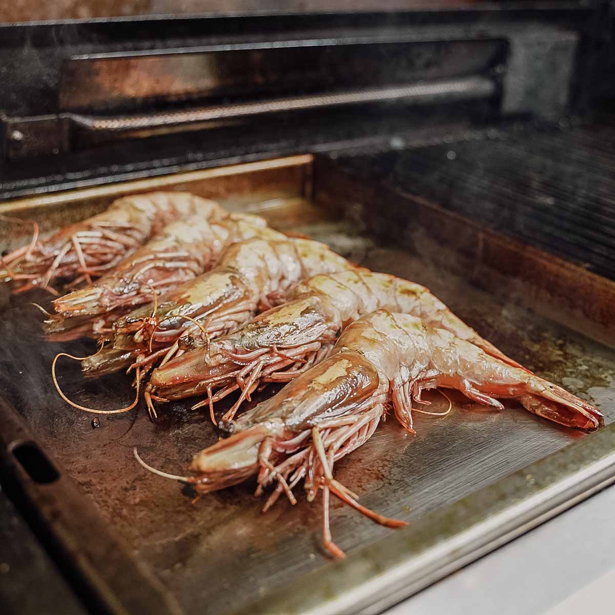 SANTOS Einsatzpfanne für Weber Spirit SANTOS Einsatzpfanne für Weber Spirit