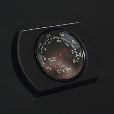 ACCU PROBE Thermometer