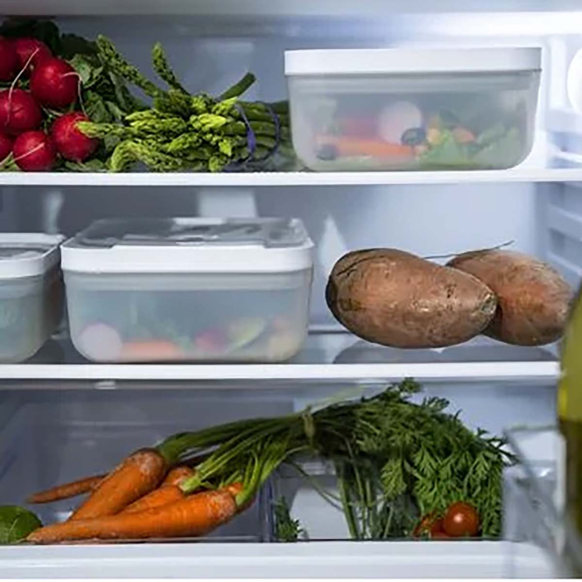 ZWILLING FRESH & SAVE Vakuum Kühlschrankbox | Kunststoff | Semitransparent-Grau