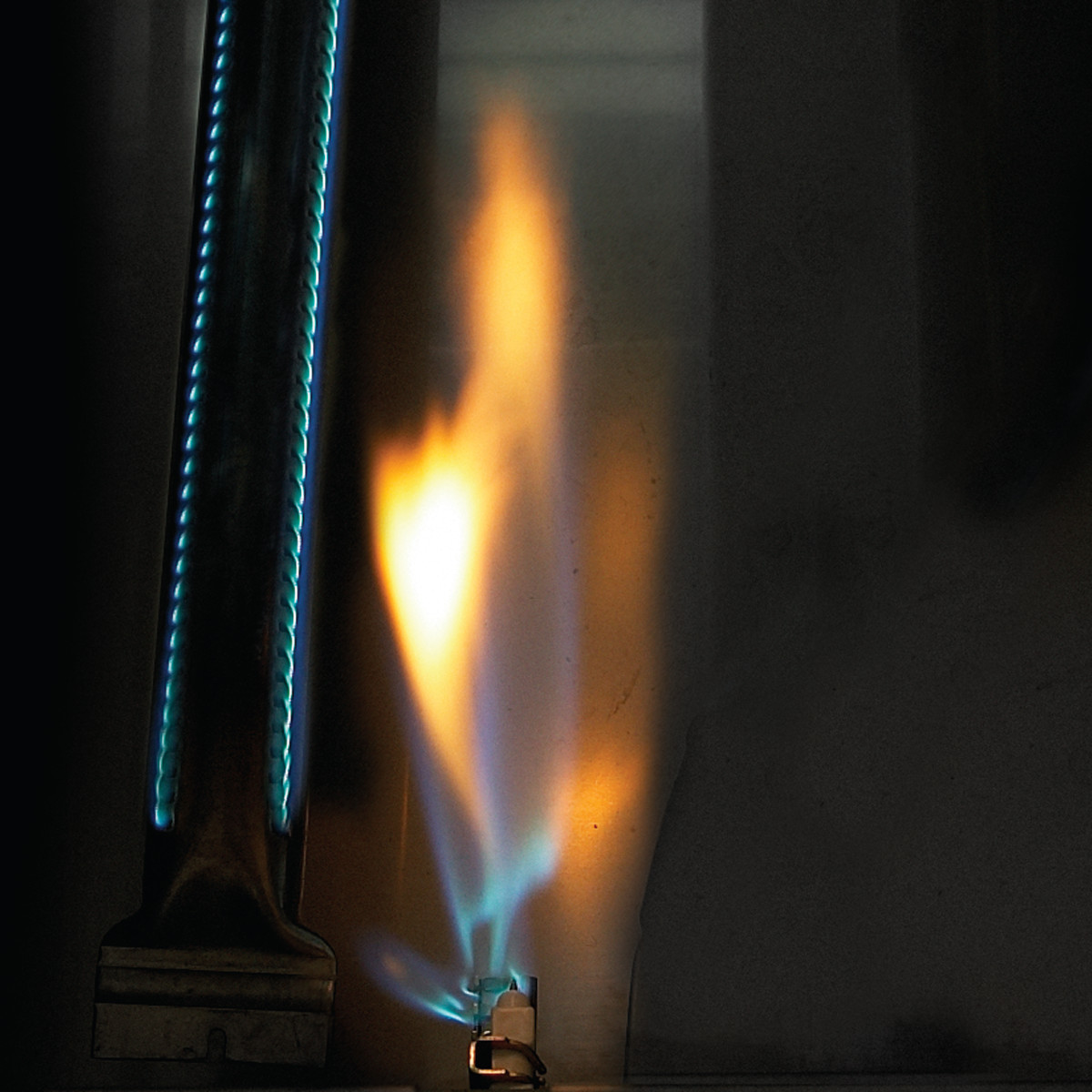 Napoleon PAKPRO825RSBIPSS-3 inkl. Drehspie§