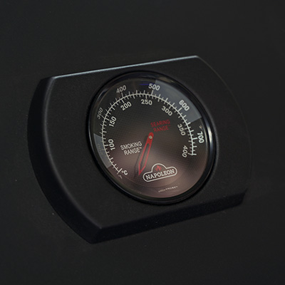 ACCU PROBE Thermometer