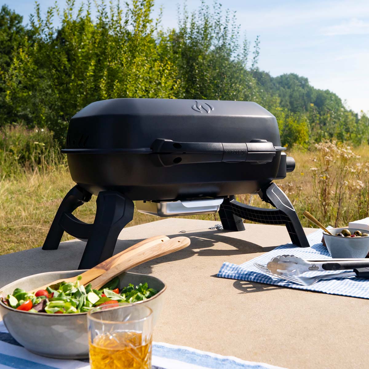 Napoleon TravelQ 240 Gasgrill | Schwarz
